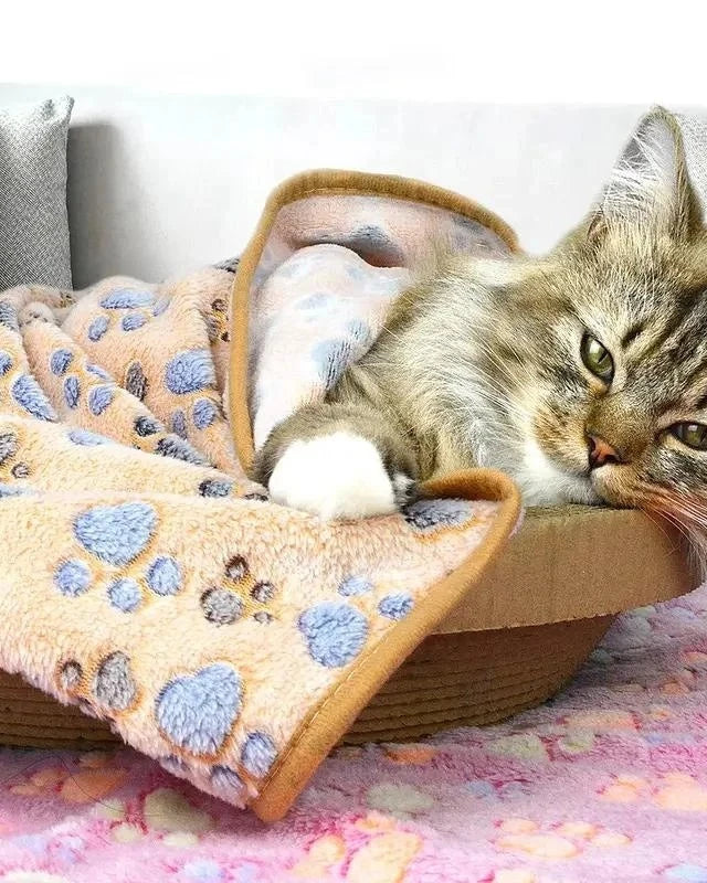 A long-haired cat resting in a basket lined with The Sunday Blanket