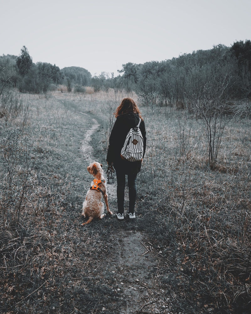 tile walk